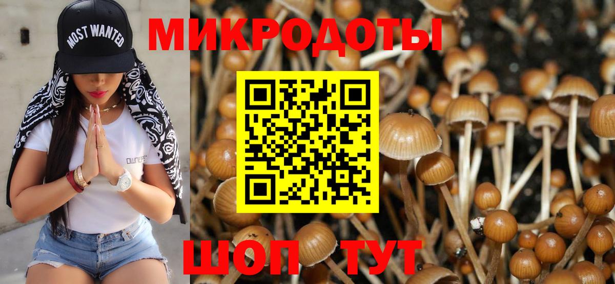 Якутск  Галлюциногенные грибы Magic Shrooms  Псилоцибиновые грибы MAGIC MUSHROOMS  Вход с VPN 