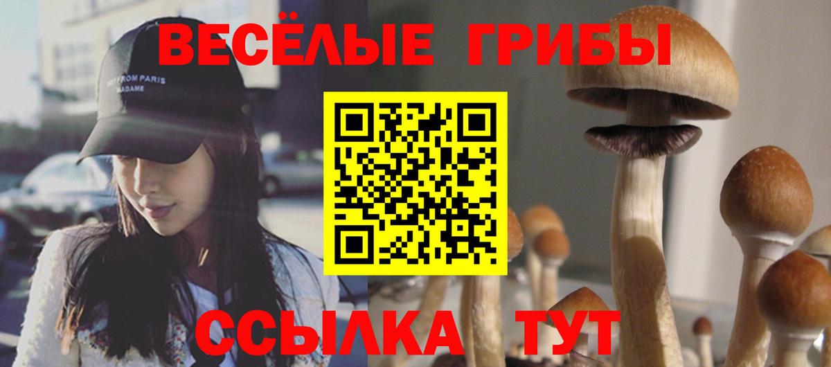 Галлюциногенные грибы GOLDEN TEACHER Якутск